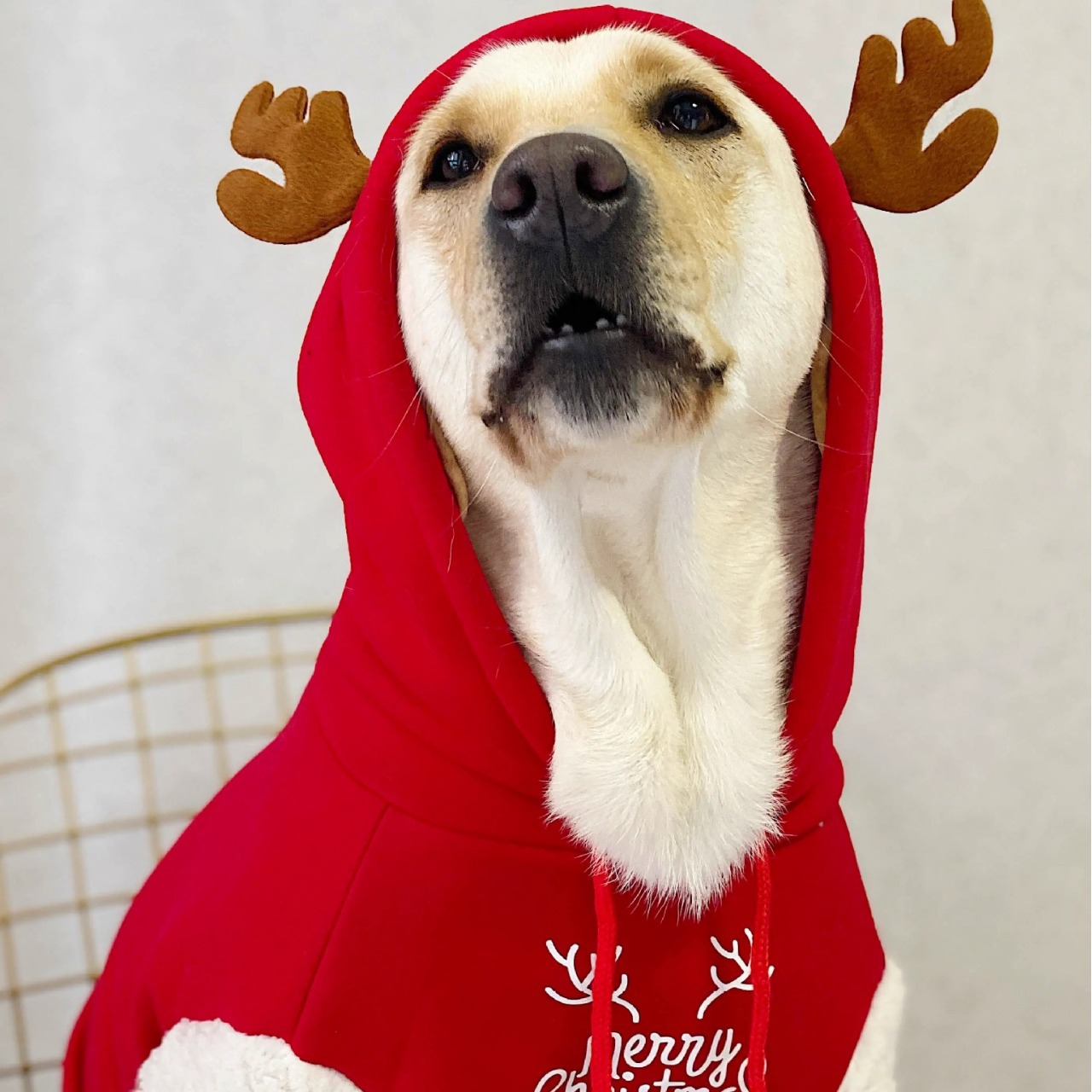Manufacturers Custom High Qual - огляд і ціна Winter Clothing Manufacturers