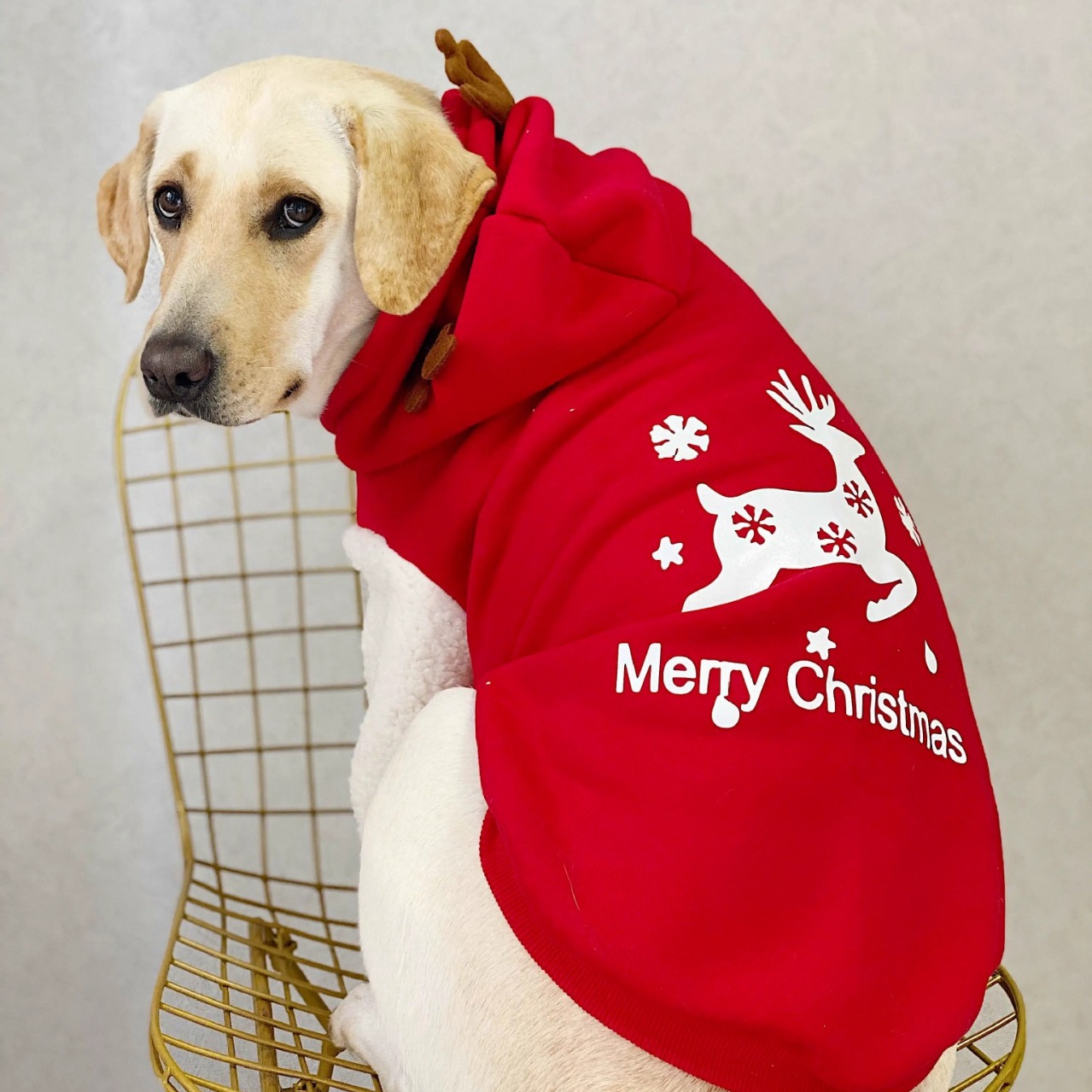 Manufacturers Custom High Qual - огляд і ціна Winter Clothing Manufacturers