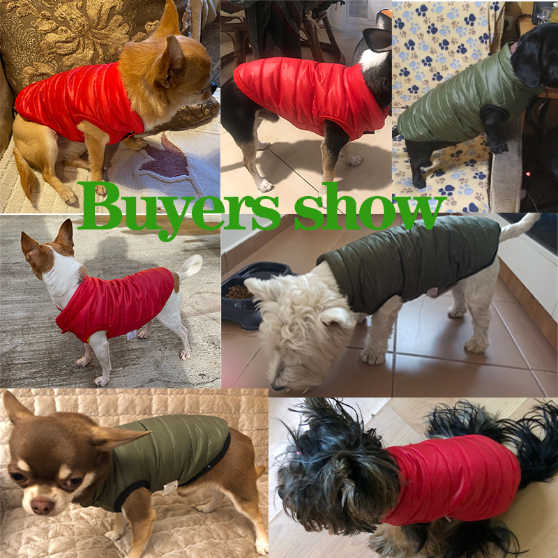 Warm Pet Dog Vest Jacket Autum - огляд і ціна Winter Clothing In French