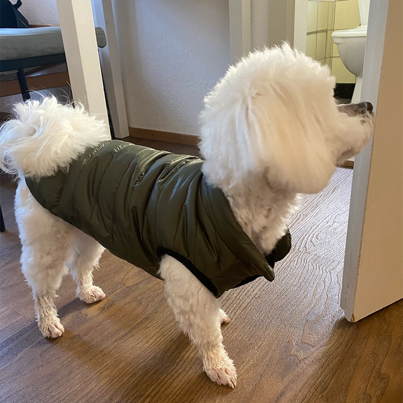 Warm Pet Dog Vest Jacket Autum - огляд і ціна Winter Clothing In French