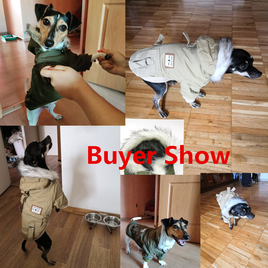 Pet Dog Clothes for Small Dogs - огляд і ціна Winter Clothing In French