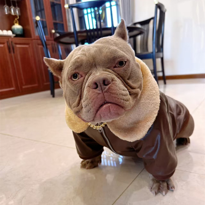 Pug Dog Coat Jacket Winter Fre - огляд і ціна Winter Clothing In French