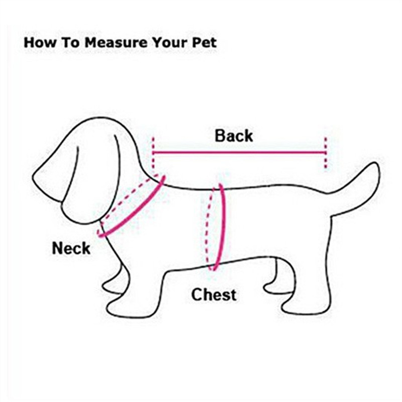 Pug Dog Coat Jacket Winter Fre - огляд і ціна Winter Clothing In French