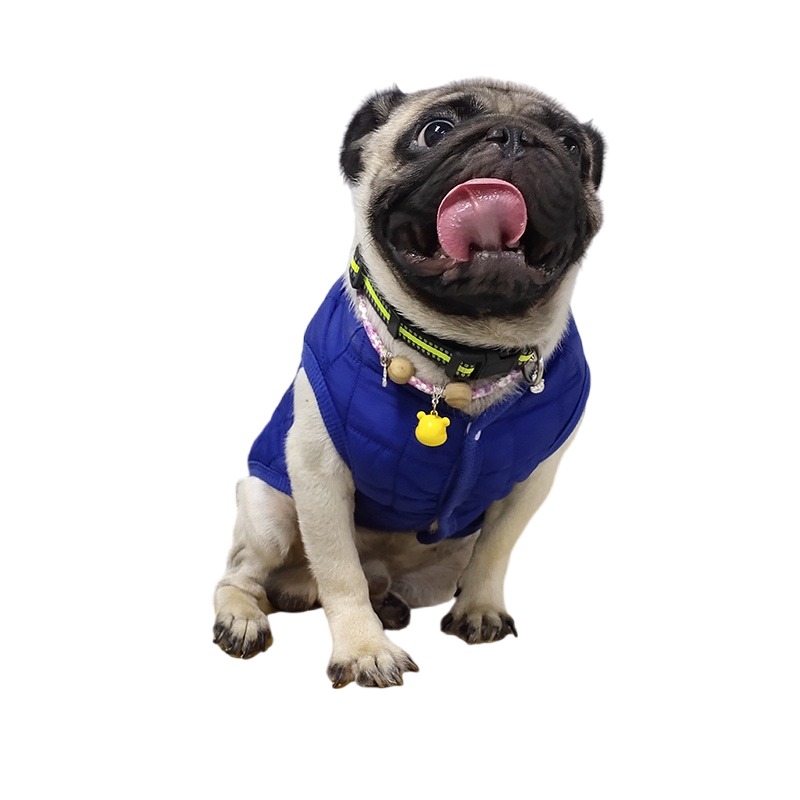 Winter Pet Cotton Jacket Warm  - огляд і ціна Winter Clothing In French