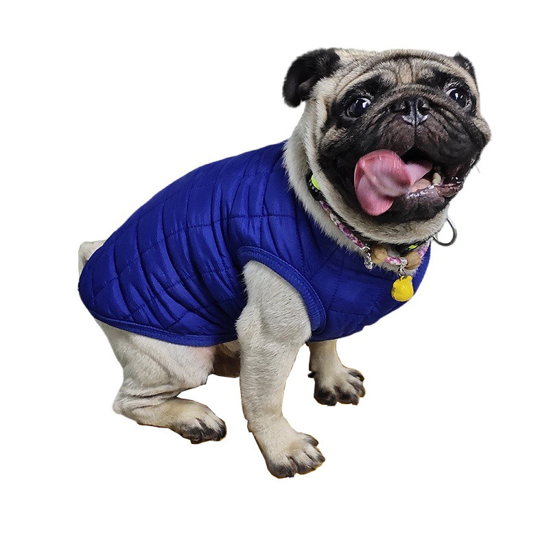 Winter Dog Clothes Warm Puppy  - огляд і ціна Winter Clothing In French