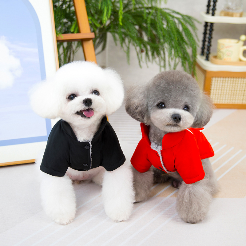 NEW Winter Pet Clothes Jacket  - огляд і ціна Winter Clothing In French