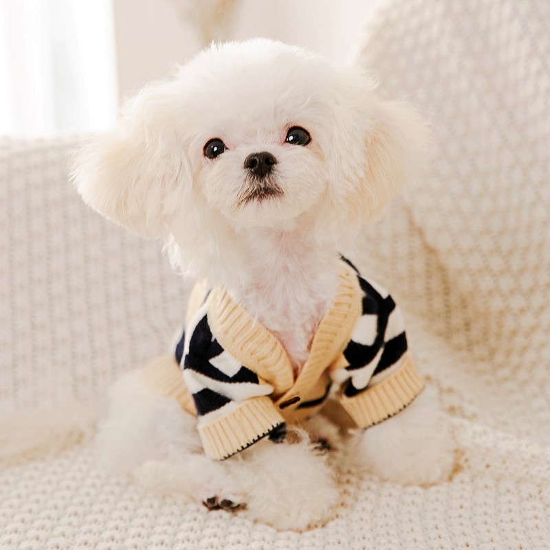 Luxury Dog Clothes Halloween W - огляд і ціна Winter Clothing In French